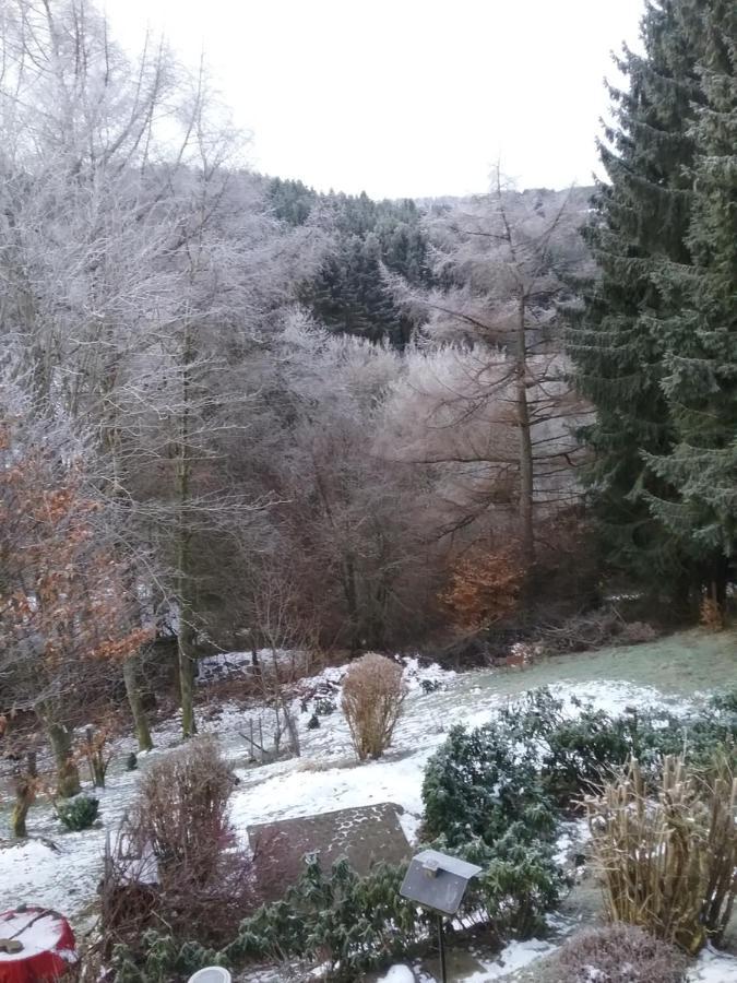 Perlenbachtal Appartement Monschau Buitenkant foto