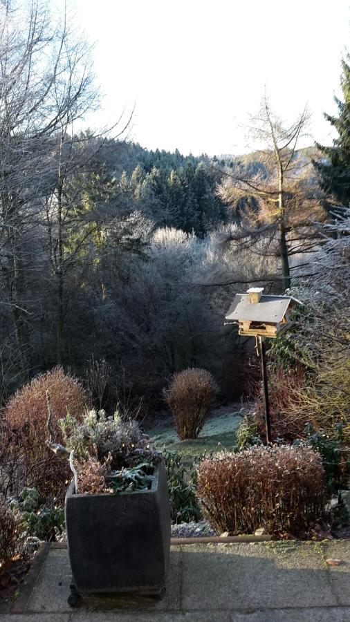 Perlenbachtal Appartement Monschau Buitenkant foto