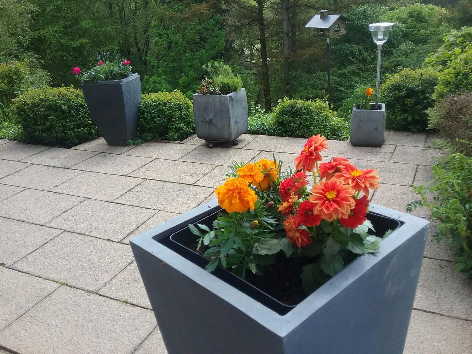Perlenbachtal Appartement Monschau Buitenkant foto
