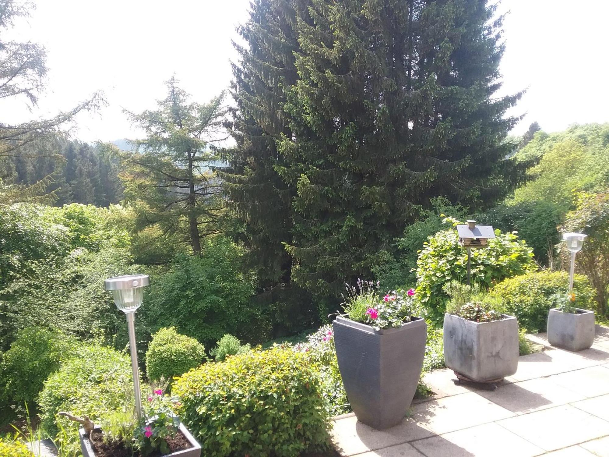 Perlenbachtal Appartement Monschau Buitenkant foto